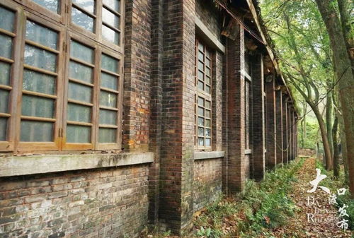 数字技术在文物保护中的应用 以马王场遗址、白沙沱大桥和第二十一兵工厂火工所旧址保护范围划定为例